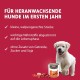 Animonda Gran Carno Junior Dog Food, Wet Food for Dogs in Growth, Pack of 6, Beef & Chicken Animonda Gran Carno Junior Dog Food, Wet Food for Dogs in Growth, Pack of 6, Beef & Chicken
