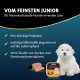 Animonda vom Feinsten Junior Dog Food, Wet Food for Growing Dogs Animonda vom Feinsten Junior Dog Food, Wet Food for Growing Dogs