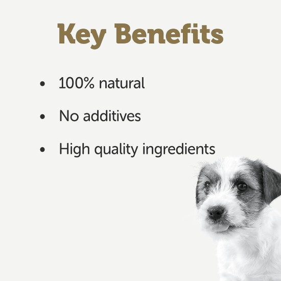 Applaws Premium Natural Wet Food for Dogs, Adult Chicken Breast with Ham and Vegetables in Broth 12 x 156 g Tin Applaws Premium Natural Wet Food for Dogs, Adult Chicken Breast with Ham and Vegetables in Broth 12 x 156 g Tin