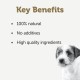 Applaws Premium Natural Wet Food for Dogs, Adult Chicken Breast with Ham and Vegetables in Broth 12 x 156 g Tin Applaws Premium Natural Wet Food for Dogs, Adult Chicken Breast with Ham and Vegetables in Broth 12 x 156 g Tin