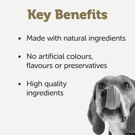 Applaws Premium Natural Wet Food for Dogs, Grain-Free Chicken and Meat Selection in Sauce 8 x 156 g Tin Applaws Premium Natural Wet Food for Dogs, Grain-Free Chicken and Meat Selection in Sauce 8 x 156 g Tin