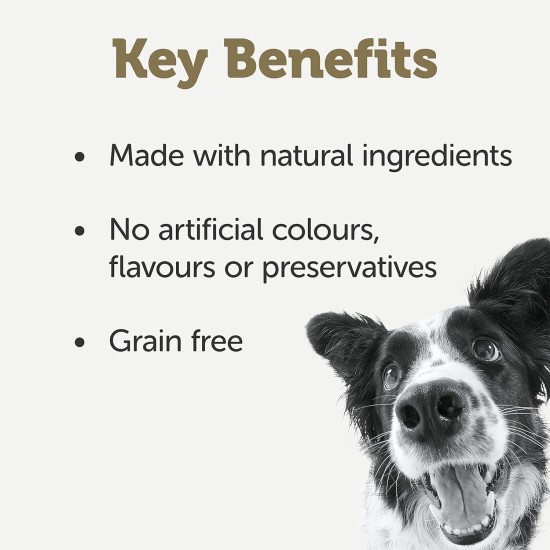 Applaws Premium Natural Wet Food for Dogs, Grain-Free Chicken and Meat Selection in Sauce 8 x 156 g Tin Applaws Premium Natural Wet Food for Dogs, Grain-Free Chicken and Meat Selection in Sauce 8 x 156 g Tin