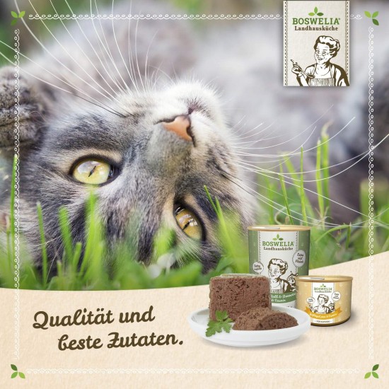 Betty's Country House Kitchen Dog Lamb & Rice 6 x 800 g Suitable for All Dog Breeds High Organic Availability We Pay Attention to Best Quality Betty's Country House Kitchen Dog Lamb & Rice 6 x 800 g Suitable for All Dog Breeds High Organic Availability We Pay Attention to Best Quality
