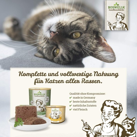 Betty's Country House Kitchen Dog Lamb & Rice 6 x 800 g Suitable for All Dog Breeds High Organic Availability We Pay Attention to Best Quality Betty's Country House Kitchen Dog Lamb & Rice 6 x 800 g Suitable for All Dog Breeds High Organic Availability We Pay Attention to Best Quality