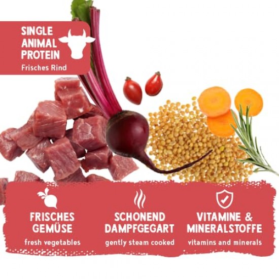 Bosch Freshe Schnout, Beef with Millet and Beetroot 1 x 250 g, Gentle Steam-Cooked Wet Food for Dogs, Complete Food with High Meat Content, 250 g Dog Wet Food Bosch Freshe Schnout, Beef with Millet and Beetroot 1 x 250 g, Gentle Steam-Cooked Wet Food for Dogs, Complete Food with High Meat Content, 250 g Dog Wet Food