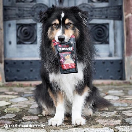 Bosch Freshe Schnout, Beef with Millet and Beetroot 1 x 250 g, Gentle Steam-Cooked Wet Food for Dogs, Complete Food with High Meat Content, 250 g Dog Wet Food Bosch Freshe Schnout, Beef with Millet and Beetroot 1 x 250 g, Gentle Steam-Cooked Wet Food for Dogs, Complete Food with High Meat Content, 250 g Dog Wet Food