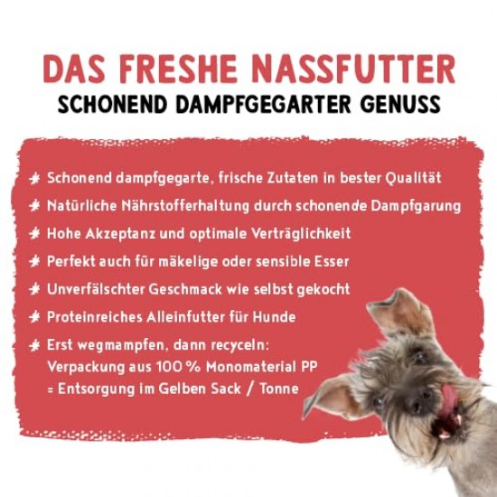 Bosch Freshe Schnout, Beef with Millet and Beetroot 1 x 250 g, Gentle Steam-Cooked Wet Food for Dogs, Complete Food with High Meat Content, 250 g Dog Wet Food Bosch Freshe Schnout, Beef with Millet and Beetroot 1 x 250 g, Gentle Steam-Cooked Wet Food for Dogs, Complete Food with High Meat Content, 250 g Dog Wet Food