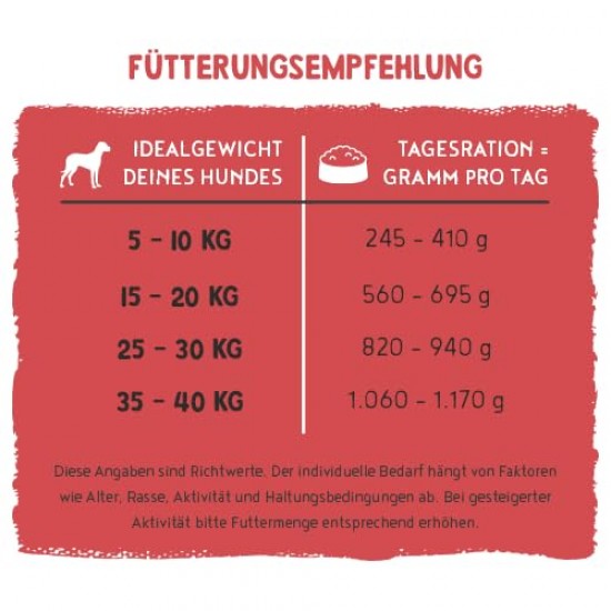 Bosch Freshe Schnout, Beef with Millet and Beetroot 1 x 250 g, Gentle Steam-Cooked Wet Food for Dogs, Complete Food with High Meat Content, 250 g Dog Wet Food Bosch Freshe Schnout, Beef with Millet and Beetroot 1 x 250 g, Gentle Steam-Cooked Wet Food for Dogs, Complete Food with High Meat Content, 250 g Dog Wet Food