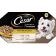 CESAR Barquettes Mini filets en sauce - 4 variétés - Pour chien adulte - 4 x 150 g (x6)