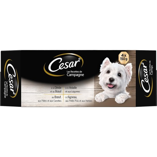 CESAR Barquettes Mini filets en sauce - 4 variétés - Pour chien adulte - 4 x 150 g (x6) CESAR Barquettes Mini filets en sauce - 4 variétés - Pour chien adulte - 4 x 150 g (x6)