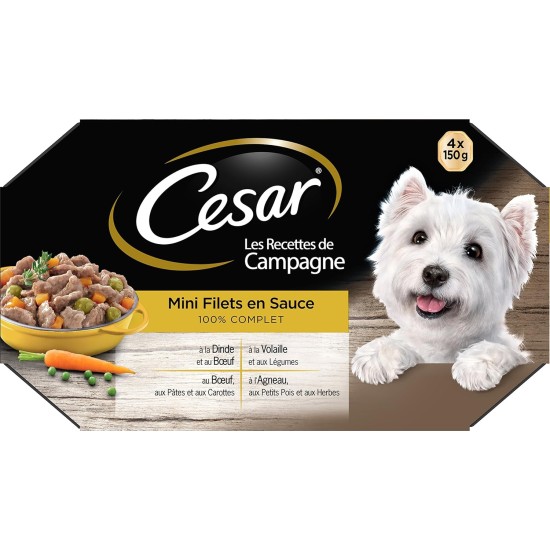 CESAR Barquettes Mini filets en sauce - 4 variétés - Pour chien adulte - 4 x 150 g (x6)