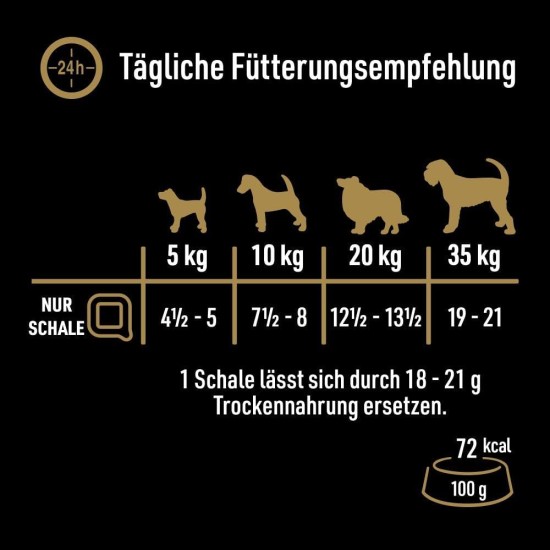 CESAR® NATURAL GOODNESS™ Schale Multipack Mega-Pack Casserole in Sauce Getreidefrei mit Superfoods 4 Varietäten 24 x 100g CESAR® NATURAL GOODNESS™ Schale Multipack Mega-Pack Casserole in Sauce Getreidefrei mit Superfoods 4 Varietäten 24 x 100g