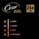 CESAR® NATURAL GOODNESS™ Schale Multipack Mega-Pack Casserole in Sauce Getreidefrei mit Superfoods 4 Varietäten 24 x 100g CESAR® NATURAL GOODNESS™ Schale Multipack Mega-Pack Casserole in Sauce Getreidefrei mit Superfoods 4 Varietäten 24 x 100g