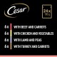 CESAR® Portionsbeutel Multipack Mega Pack Selektion in Sauce 4 Varietäten 40x100g CESAR® Portionsbeutel Multipack Mega Pack Selektion in Sauce 4 Varietäten 40x100g