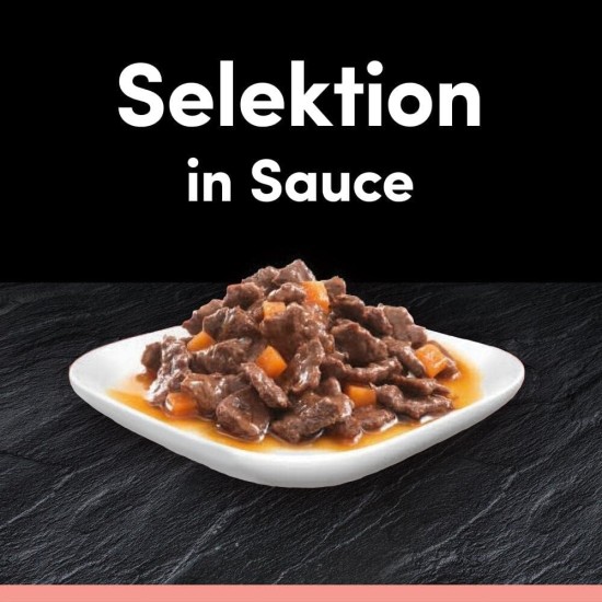 CESAR® Portionsbeutel Multipack Mega Pack Selektion in Sauce 4 Varietäten 40x100g CESAR® Portionsbeutel Multipack Mega Pack Selektion in Sauce 4 Varietäten 40x100g