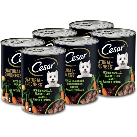 Cesar Adult Natural Goodness Wet Dog Food, 6 x 400 g, Balanced Premium Dog Food Wet, Rich in Chicken, Made with Natural Ingredients Cesar Adult Natural Goodness Wet Dog Food, 6 x 400 g, Balanced Premium Dog Food Wet, Rich in Chicken, Made with Natural Ingredients