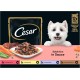 Cesar Adult Wet Dog Food Selection in Sauce, 48 Portion Bags, 12 x 100 g (Pack of 4) - Balanced Premium Dog Food Wet, Choice with Beef, Chicken, Lamb and Turkey Cesar Adult Wet Dog Food Selection in Sauce, 48 Portion Bags, 12 x 100 g (Pack of 4) - Balanced Premium Dog Food Wet, Choice with Beef, Chicken, Lamb and Turkey