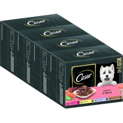Cesar Adult Wet Dog Food Selection in Sauce, 48 Portion Bags, 12 x 100 g (Pack of 4) - Balanced Premium Dog Food Wet, Choice with Beef, Chicken, Lamb and Turkey Cesar Adult Wet Dog Food Selection in Sauce, 48 Portion Bags, 12 x 100 g (Pack of 4) - Balanced Premium Dog Food Wet, Choice with Beef, Chicken, Lamb and Turkey