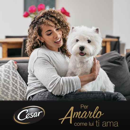 Cesar Classic Recipes Dog Food with Delicious Chicken and Beef 150g 14 Bowls Cesar Classic Recipes Dog Food with Delicious Chicken and Beef 150g 14 Bowls