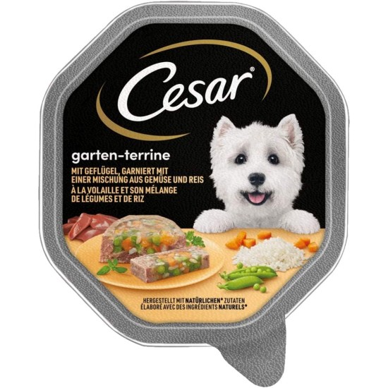 Cesar Dog Food Wet Food Garden Variety with Poultry, Vegetables and Rice, 14 Bowls (14 x 150 g) Cesar Dog Food Wet Food Garden Variety with Poultry, Vegetables and Rice, 14 Bowls (14 x 150 g)