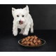 Cesar Dog Food Wet Food Garden Variety with Poultry, Vegetables and Rice, 14 Bowls (14 x 150 g) Cesar Dog Food Wet Food Garden Variety with Poultry, Vegetables and Rice, 14 Bowls (14 x 150 g)