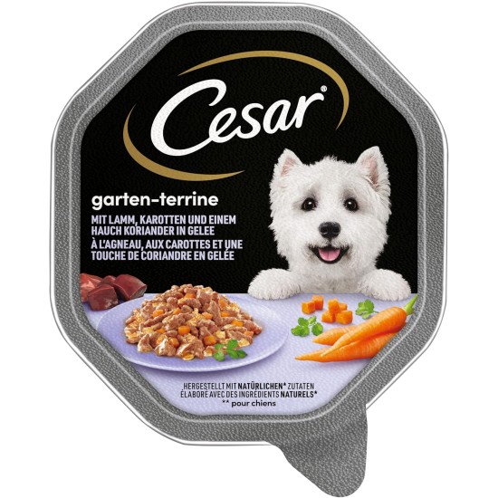 Cesar Dog Food Wet Food Garden Variety with Poultry, Vegetables and Rice, 14 Bowls (14 x 150 g) Cesar Dog Food Wet Food Garden Variety with Poultry, Vegetables and Rice, 14 Bowls (14 x 150 g)