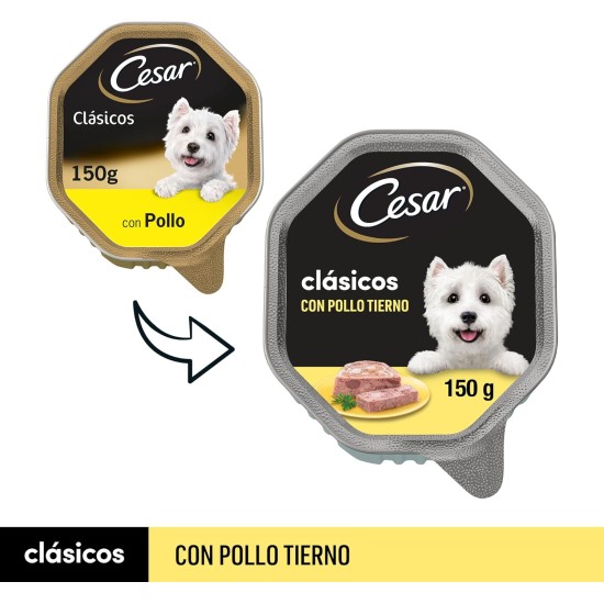 Cesar Dog Food Wet Food Recommendation of the Chef with Lightly Grilled Chicken Pieces, Natural Rice and Vegetables in Sauce, 14 Bowls (14 x 150 g) Cesar Dog Food Wet Food Recommendation of the Chef with Lightly Grilled Chicken Pieces, Natural Rice and Vegetables in Sauce, 14 Bowls (14 x 150 g)