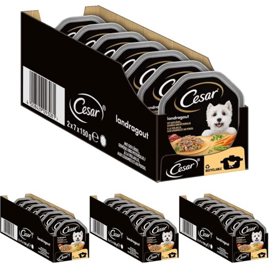 Cesar Dog Food Wet Food Recommendation of the Chef with Lightly Grilled Chicken Pieces, Natural Rice and Vegetables in Sauce, 14 Bowls (14 x 150 g) Cesar Dog Food Wet Food Recommendation of the Chef with Lightly Grilled Chicken Pieces, Natural Rice and Vegetables in Sauce, 14 Bowls (14 x 150 g)