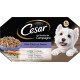 Cesar Dog Meal - 24 Bowls (3 Packs of 8 x 150g) - Wet Dog Food in Sauce - Beef/Chicken/Lamb/Turkey - Complete Food & Balanced Food with Natural Ingredients Cesar Dog Meal - 24 Bowls (3 Packs of 8 x 150g) - Wet Dog Food in Sauce - Beef/Chicken/Lamb/Turkey - Complete Food & Balanced Food with Natural Ingredients