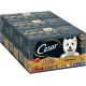 Cesar Dog Wet Food, Country Kitchen with Poultry and Vegetables in Delicious Sauce Cesar Dog Wet Food, Country Kitchen with Poultry and Vegetables in Delicious Sauce