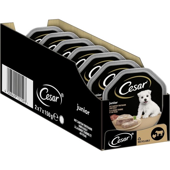 Cesar Junior Wet Dog Food for Puppies and Young Dogs <1 Year with Turkey & Veal in Pate, 14 Bowls (14 x 150 g), 2100 g Cesar Junior Wet Dog Food for Puppies and Young Dogs <1 Year with Turkey & Veal in Pate, 14 Bowls (14 x 150 g), 2100 g