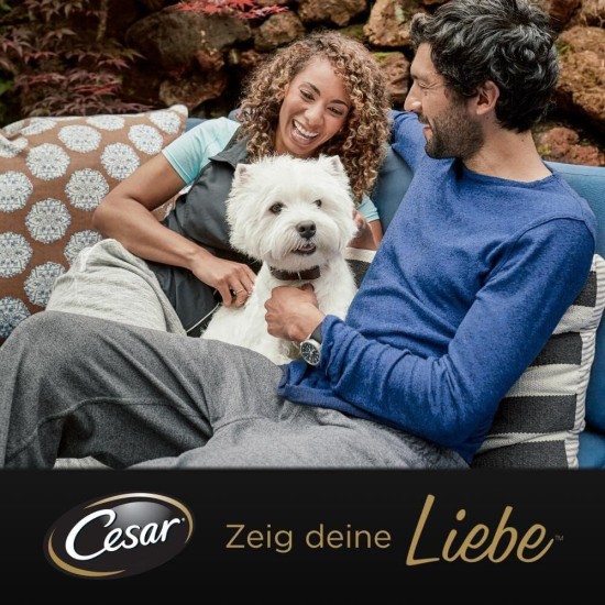 Cesar Junior Wet Dog Food for Puppies and Young Dogs <1 Year with Turkey & Veal in Pate, 14 Bowls (14 x 150 g), 2100 g Cesar Junior Wet Dog Food for Puppies and Young Dogs <1 Year with Turkey & Veal in Pate, 14 Bowls (14 x 150 g), 2100 g