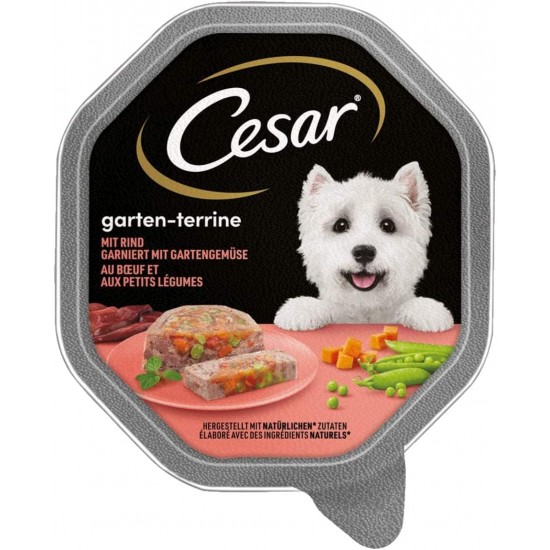 Cesar Junior Wet Dog Food for Puppies and Young Dogs <1 Year with Turkey & Veal in Pate, 14 Bowls (14 x 150 g), 2100 g Cesar Junior Wet Dog Food for Puppies and Young Dogs <1 Year with Turkey & Veal in Pate, 14 Bowls (14 x 150 g), 2100 g