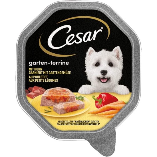 Cesar Junior Wet Dog Food for Puppies and Young Dogs <1 Year with Turkey & Veal in Pate, 14 Bowls (14 x 150 g), 2100 g Cesar Junior Wet Dog Food for Puppies and Young Dogs <1 Year with Turkey & Veal in Pate, 14 Bowls (14 x 150 g), 2100 g