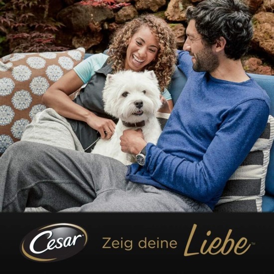 Cesar Junior Wet Dog Food for Puppies and Young Dogs <1 Year with Turkey & Veal in Pate, 14 Bowls (14 x 150 g), 2100 g Cesar Junior Wet Dog Food for Puppies and Young Dogs <1 Year with Turkey & Veal in Pate, 14 Bowls (14 x 150 g), 2100 g
