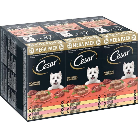 Cesar Megapack Classic Terrine - Dog Food in Bowl - 4 Varieties in Multipack - 24 x 150 g Cesar Megapack Classic Terrine - Dog Food in Bowl - 4 Varieties in Multipack - 24 x 150 g