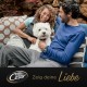 Cesar Megapack Classic Terrine - Dog Food in Bowl - 4 Varieties in Multipack - 24 x 150 g
