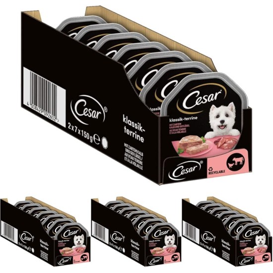 Cesar Megapack Classic Terrine - Dog Food in Bowl - 4 Varieties in Multipack - 24 x 150 g Cesar Megapack Classic Terrine - Dog Food in Bowl - 4 Varieties in Multipack - 24 x 150 g
