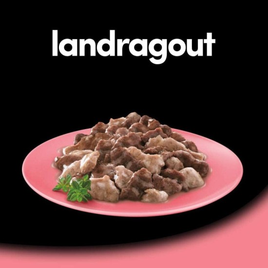 Cesar Megapack Landragout - Dog Food in Bowl - 4 Varieties in Multipack - 24 x 150 g Cesar Megapack Landragout - Dog Food in Bowl - 4 Varieties in Multipack - 24 x 150 g