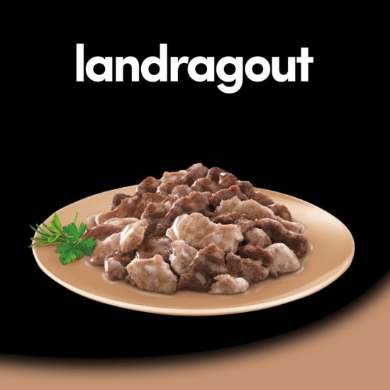 Cesar Megapack Landragout - Dog Food in Bowl - 4 Varieties in Multipack - 24 x 150 g Cesar Megapack Landragout - Dog Food in Bowl - 4 Varieties in Multipack - 24 x 150 g