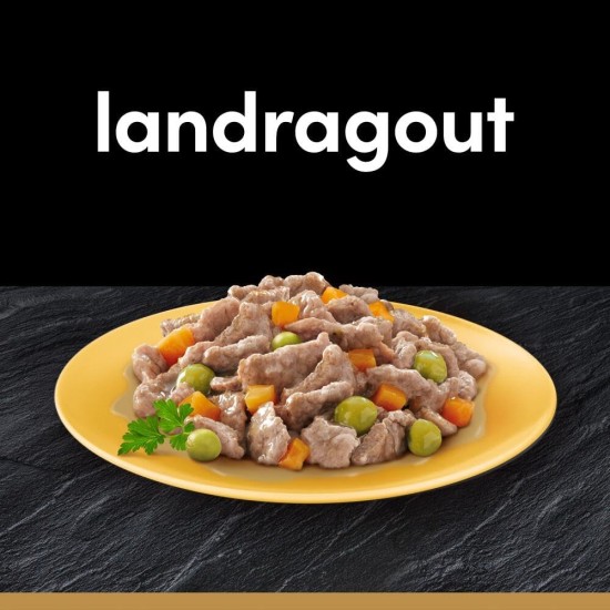 Cesar Megapack Landragout - Dog Food in Bowl - 4 Varieties in Multipack - 24 x 150 g Cesar Megapack Landragout - Dog Food in Bowl - 4 Varieties in Multipack - 24 x 150 g