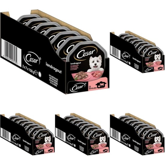 Cesar Megapack Landragout - Dog Food in Bowl - 4 Varieties in Multipack - 24 x 150 g Cesar Megapack Landragout - Dog Food in Bowl - 4 Varieties in Multipack - 24 x 150 g