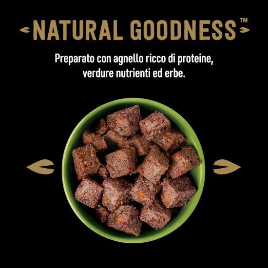 Cesar Natural Goodness Wet Dog Food Lamb and Vegetables 6 x 400g Tubs Total 2.4kg Cesar Natural Goodness Wet Dog Food Lamb and Vegetables 6 x 400g Tubs Total 2.4kg