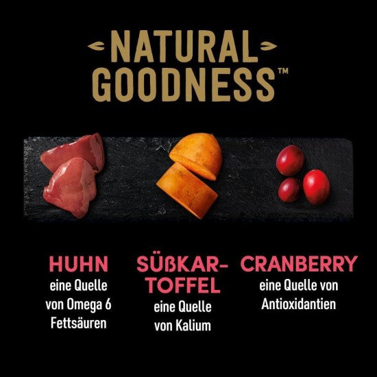 Cesar Natural Goodness Wet Dog Food Lamb and Vegetables 6 x 400g Tubs Total 2.4kg Cesar Natural Goodness Wet Dog Food Lamb and Vegetables 6 x 400g Tubs Total 2.4kg
