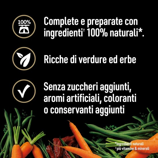 Cesar Natural Goodness Wet Dog Food Lamb and Vegetables 6 x 400g Tubs Total 2.4kg Cesar Natural Goodness Wet Dog Food Lamb and Vegetables 6 x 400g Tubs Total 2.4kg