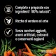 Cesar Natural Goodness Wet Dog Food Lamb and Vegetables 6 x 400g Tubs Total 2.4kg Cesar Natural Goodness Wet Dog Food Lamb and Vegetables 6 x 400g Tubs Total 2.4kg