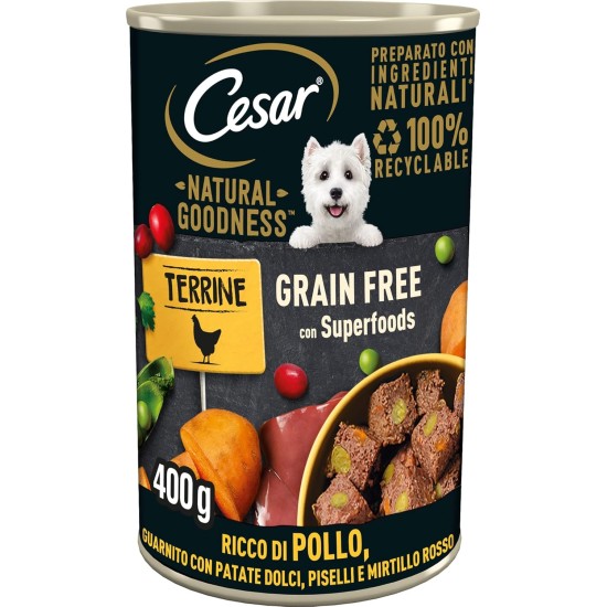 Cesar Natural Goodness Wet Dog Food Lamb and Vegetables 6 x 400g Tubs Total 2.4kg Cesar Natural Goodness Wet Dog Food Lamb and Vegetables 6 x 400g Tubs Total 2.4kg