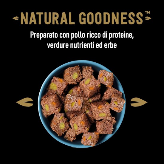 Cesar Natural Goodness Wet Dog Food Lamb and Vegetables 6 x 400g Tubs Total 2.4kg Cesar Natural Goodness Wet Dog Food Lamb and Vegetables 6 x 400g Tubs Total 2.4kg