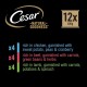 Cesar Natural Goodness in Loaf 12 x 400 g Cans, Adult Premium Wet Dog Food, Mixed Selection, Non Applicable