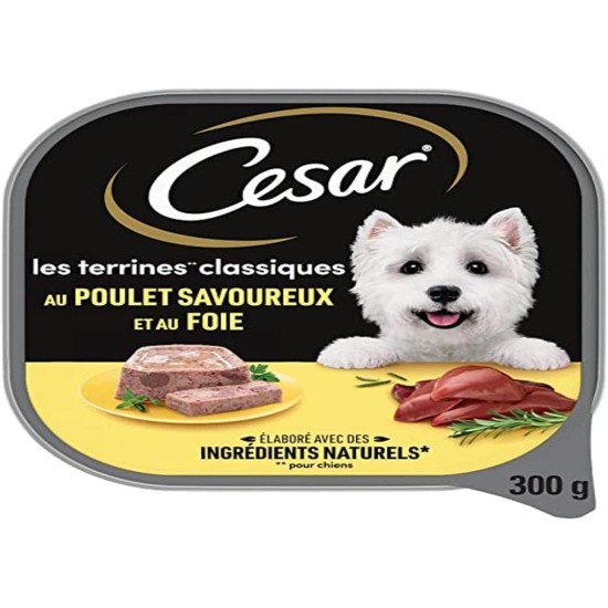 Cesar Pack of 20 Terrine Chicken Dog Food Containers 300 g. Cesar Pack of 20 Terrine Chicken Dog Food Containers 300 g.